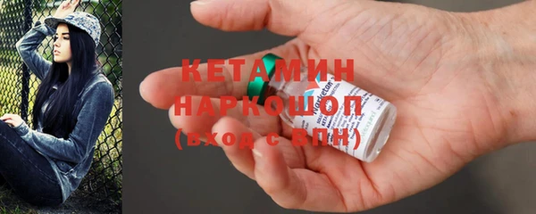 шишки Кодинск