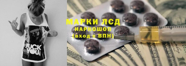 ГАЛЛЮЦИНОГЕННЫЕ ГРИБЫ Приозерск