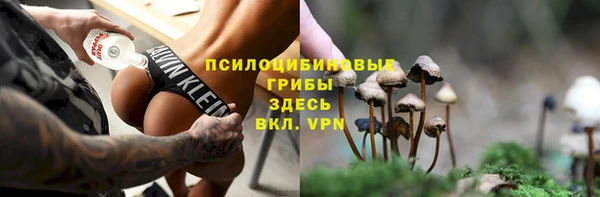 ГАЛЛЮЦИНОГЕННЫЕ ГРИБЫ Приозерск