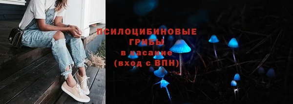 ГАЛЛЮЦИНОГЕННЫЕ ГРИБЫ Приозерск